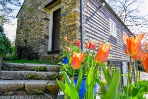 Lower Marsh Farm in Cornwall外面的花园