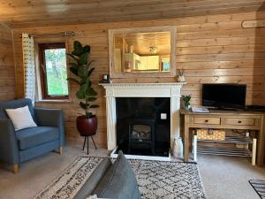 a living room with a fireplace and a television at Mallard Lodge - Arscott Lodges in Shrewsbury