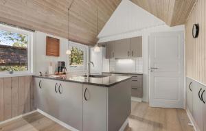 Η κουζίνα ή μικρή κουζίνα στο Holiday Home Rådyrvej Vejers Strand Iii