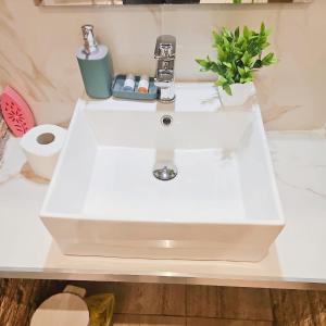 um lavatório branco numa casa de banho com uma planta em Hotel GIUBILEO em Roma mais 91 fotografias