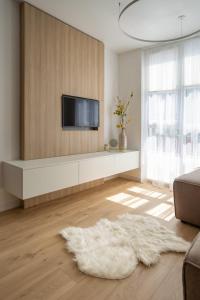 a living room with a television and a white rug at "M&D ApartmentsLviv", Loft complex Great Britain in Lviv