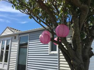 due lanterne di carta rosa appese ad un albero di NORDSEE GLAMPING MobilheimChaletStacaravan 2329 a Bredene