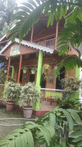 a building with potted plants in front of it at Yuma Homestay in Mangpu