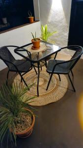 a glass table with two chairs and plants on the floor at Wendy Kaylian Studio in Petit Gabriel