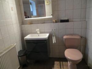 a bathroom with a toilet and a sink and a mirror at Ferienwohnungen Breternitz in Steinach +27 photos