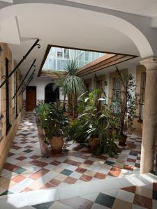 an indoor courtyard with potted plants in a building at Apartamento Casa Palacio 1890. in El Puerto de Santa María