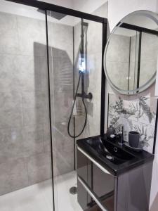 a bathroom with a shower and a sink and a mirror at La petite champêtre in Bouconville-Vauclair +28 photos