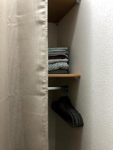 a walk in closet with towels on a shelf at Arènes 1 à deux pas du centre historique in Besançon