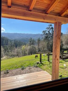 エアにあるSan Bartolomé Etxolaのポーチから見た野原の馬の眺め