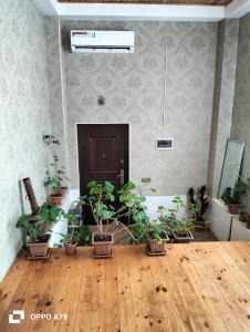 Imagen de la galería de Minimalist Escape, en Sheki