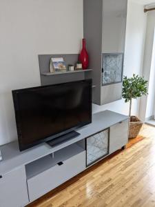 TV a/nebo společenská místnost v ubytování Moderne 70qm OG Wohnung nahe Würzburg, DAA, A3, A7, A81 in Fuchsstadt