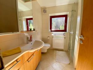 a bathroom with a sink and a toilet and a mirror at Bohinj Cozy Escape Holiday Home in Bohinj