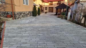 a cobblestone street with a dog walking down it at Pensiunea Deak Panzio in Sovata