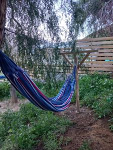 Gallery image of Cabaña valle de elqui horcon Encantó del pimiento in Horcon +9 photos