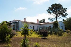 a house with a palm tree in front of it at Monte da Urze Aljezur - Agroturismo in Aljezur
