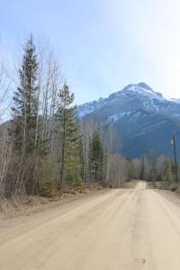 a dirt road with a mountain in the background at Rocky Mountain Cabins and Home in Golden