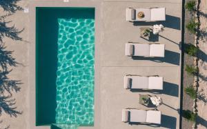 Πισίνα στο ή κοντά στο Villa Nicoldia with private pool near Laganas