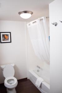 Hampton Inn & Suites Big Rapids, Mi的一间浴室