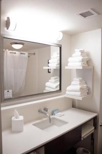 大瀑布城Hampton Inn & Suites Big Rapids, Mi的带水槽和镜子的浴室