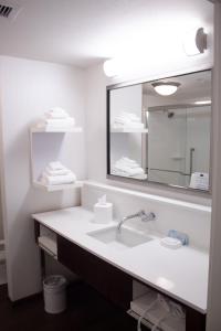 Hampton Inn & Suites Big Rapids, Mi的一间浴室