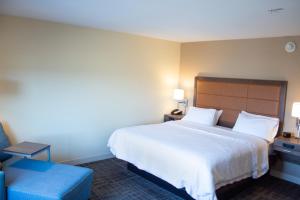 Hampton Inn & Suites Big Rapids, Mi客房内的一张或多张床位