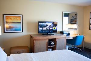 Hampton Inn & Suites Big Rapids, Mi的电视和/或娱乐中心