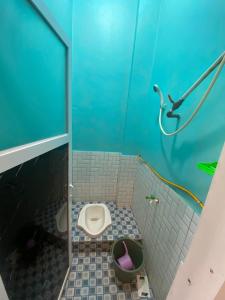 a bathroom with a toilet in a blue stall at Hotel Bintang Sikunir in Kejajar