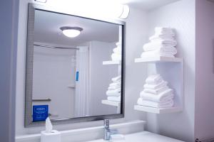 Hampton Inn & Suites Big Rapids, Mi的一间浴室