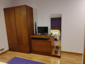TV a/nebo společenská místnost v ubytování CASA PEDRASRUBIAS