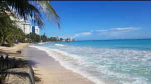 a sandy beach with palm trees and the ocean at IVT Condo in San Juan