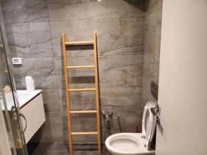 a bathroom with a toilet and a ladder in it at luxury marsa beach 2 in La Marsa