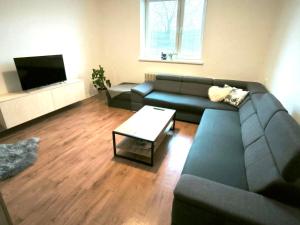 TV a/nebo společenská místnost v ubytování LUMA ubytovanie