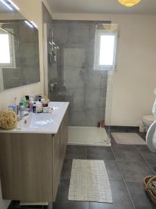 a bathroom with a shower and a sink and a tub at Chambre privée en Provence in Villeneuve-lès-Avignon