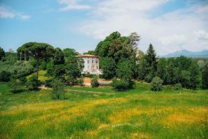 a house on a hill in a field of grass at Villa Bianca charming Tuscany house with pool in Lucca