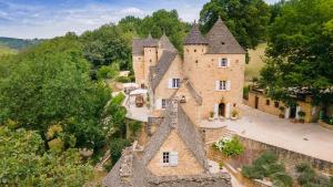 an aerial view of a castle in the forest at Château La Carrière in Saint-Cyprien