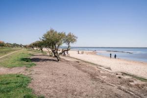 a beach with a tree and people walking on it at Charming Studio Lumineux Climatisé in Audenge