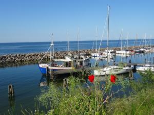 Naturlandskabet i nærheden af lejligheden