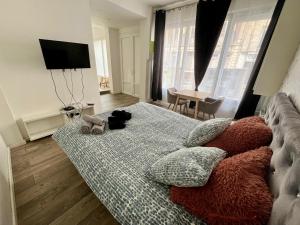 a black cat laying on a bed in a room at Balnéo et relaxation - 044 in Rouen