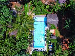 Bazén v ubytování Palmyra Nature Resort Sigiriya nebo v jeho okolí