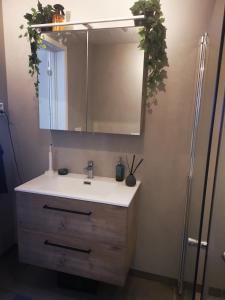 a bathroom with a sink and a mirror at Lofoten Seaview Apartment B in Sennesvik +15 photos