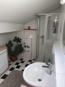 a bathroom with a white sink and a shower at Blick zum Riesenkopf in Brannenburg