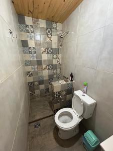 a small bathroom with a toilet and a shower at Cabanas Embau in San Rafael