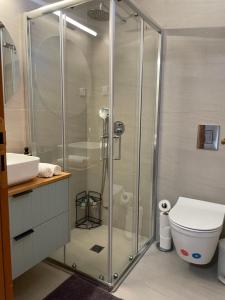 Un baño con ducha, inodoro y lavabo. en Amdar 2BR Garden Apt EILAT, en Eilat 12 fotos más