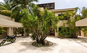 un palmier devant un bâtiment avec une moto dans l'établissement Magnifica casa laguna cerca de la playa., à Puerto Aventuras
