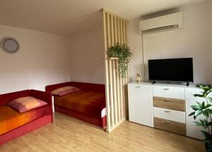 a living room with a tv and a mirror at Apartma Savan in Tolmin
