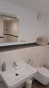 Koupelna v ubytování Ferienwohnung Feichtlgütl + 25 fotografií
