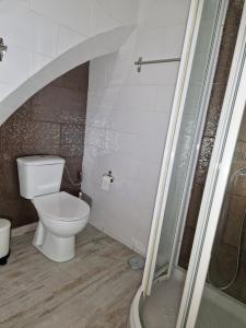 a bathroom with a toilet and a shower at Casa da Judiaria in Évora
