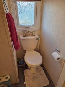 a small bathroom with a toilet and a window at Mark and Teresa's 8 berth caravan on Coral Beach Ingoldmels in Ingoldmells