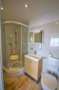 ein Bad mit einer Dusche, einem Waschbecken und einem WC in der Unterkunft Hotel Am Kurpark in Bad Suderode