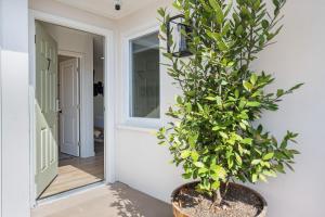 Eine Pflanze in einem Topf neben einer Tür in der Unterkunft South O Bungalow 7 - Premium Double Studio + Patio in Oceanside